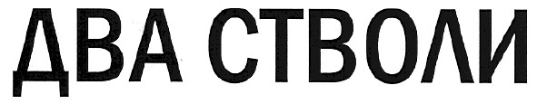 два стволи