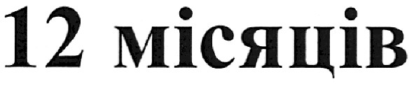12 місяців