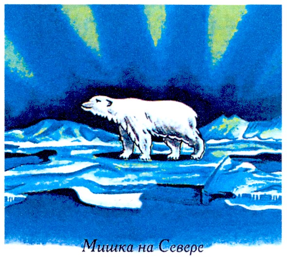 мишка на севере
