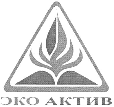 эко актив