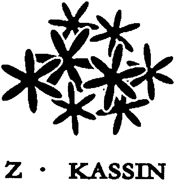 z.kassin