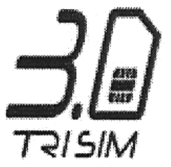 3.0 trisim