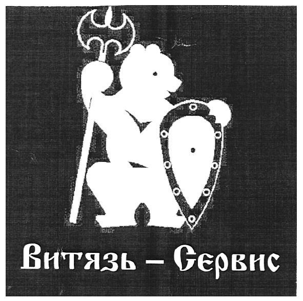 витязь-сервис