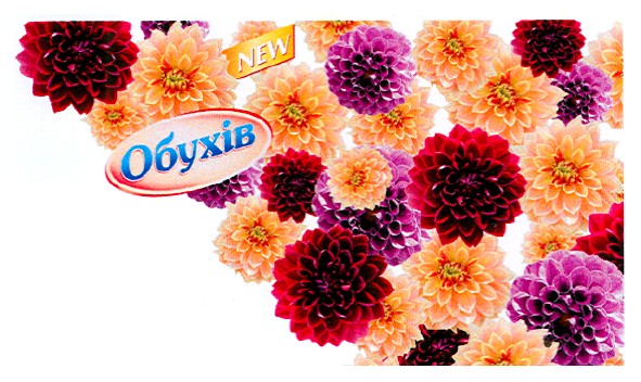new обухів
