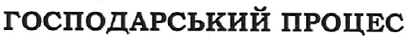 господарський процес