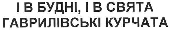 і в будні,і в свята гаврилівські курчата