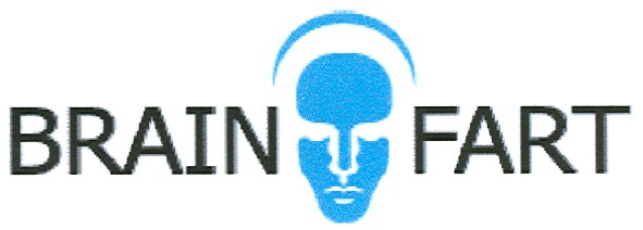 brain fart