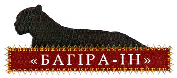 багіра-ін