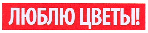 люблю цветы!