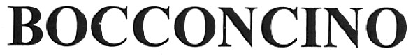 bocconcino