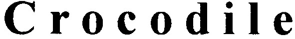 crocodile