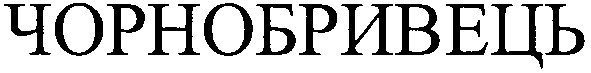 чорнобривець