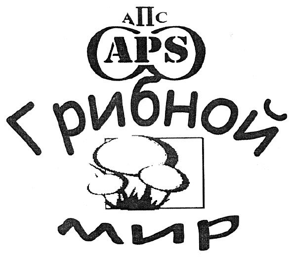 грибной мир