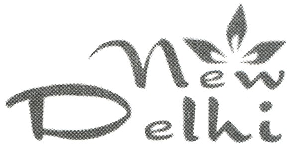 new delhi