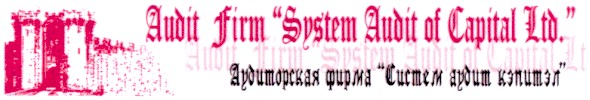 audit firm system audit of capital ltd