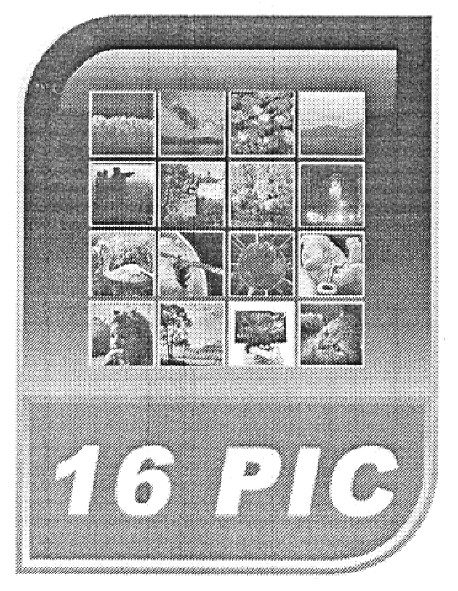 16 pic