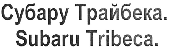 субару трайбека.