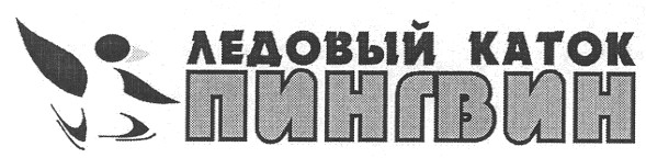 ледовый каток