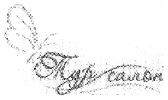 тур салон