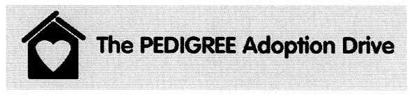 the pedigree adoption drive