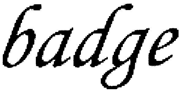 badge