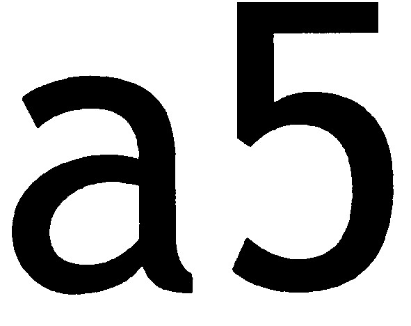 a5