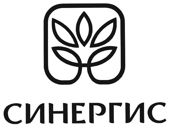 синергис