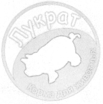 корма для животных