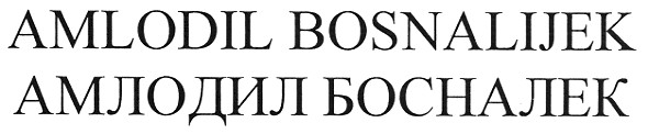 amlodil bosnalijek