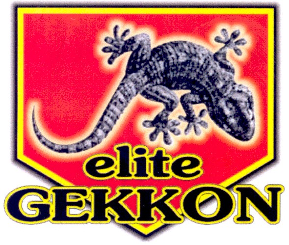 elite gekkon