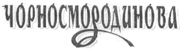 чорносмородинова
