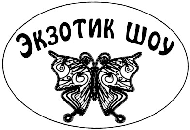 экзотик шоу