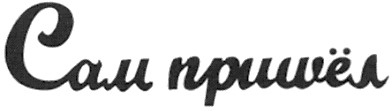 сам пришёл