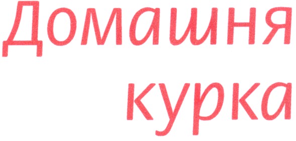 домашня курка
