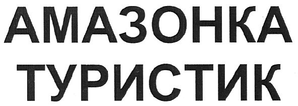 амазонка туристик