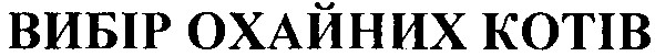 вибір охайних котів