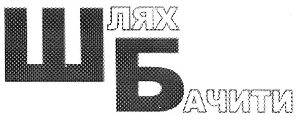 шлях бачити