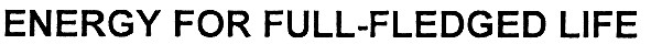 energy for full - fledged life
