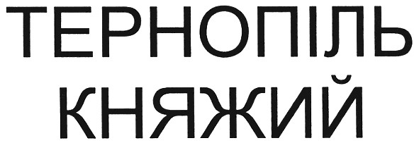 тернопіль княжий