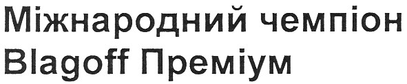 міжнародний чемпіон
