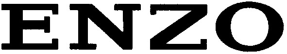 enzo