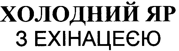 холодний яр з ехінацеєю