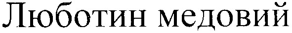 люботин медовий