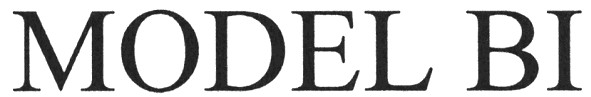 model bi