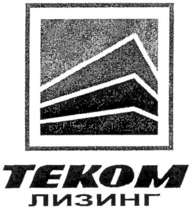 теком лизинг
