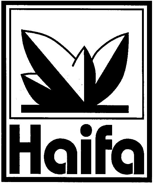 haifa