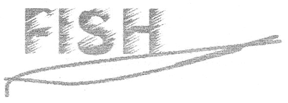 fish