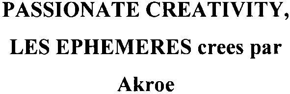 passionate creativity, les ephemeres crees par akroe