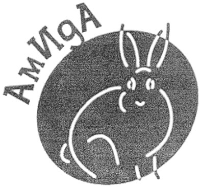 ам ида