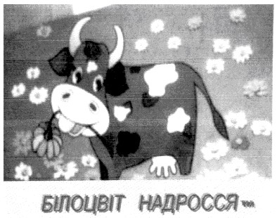 білоцвіт надросся